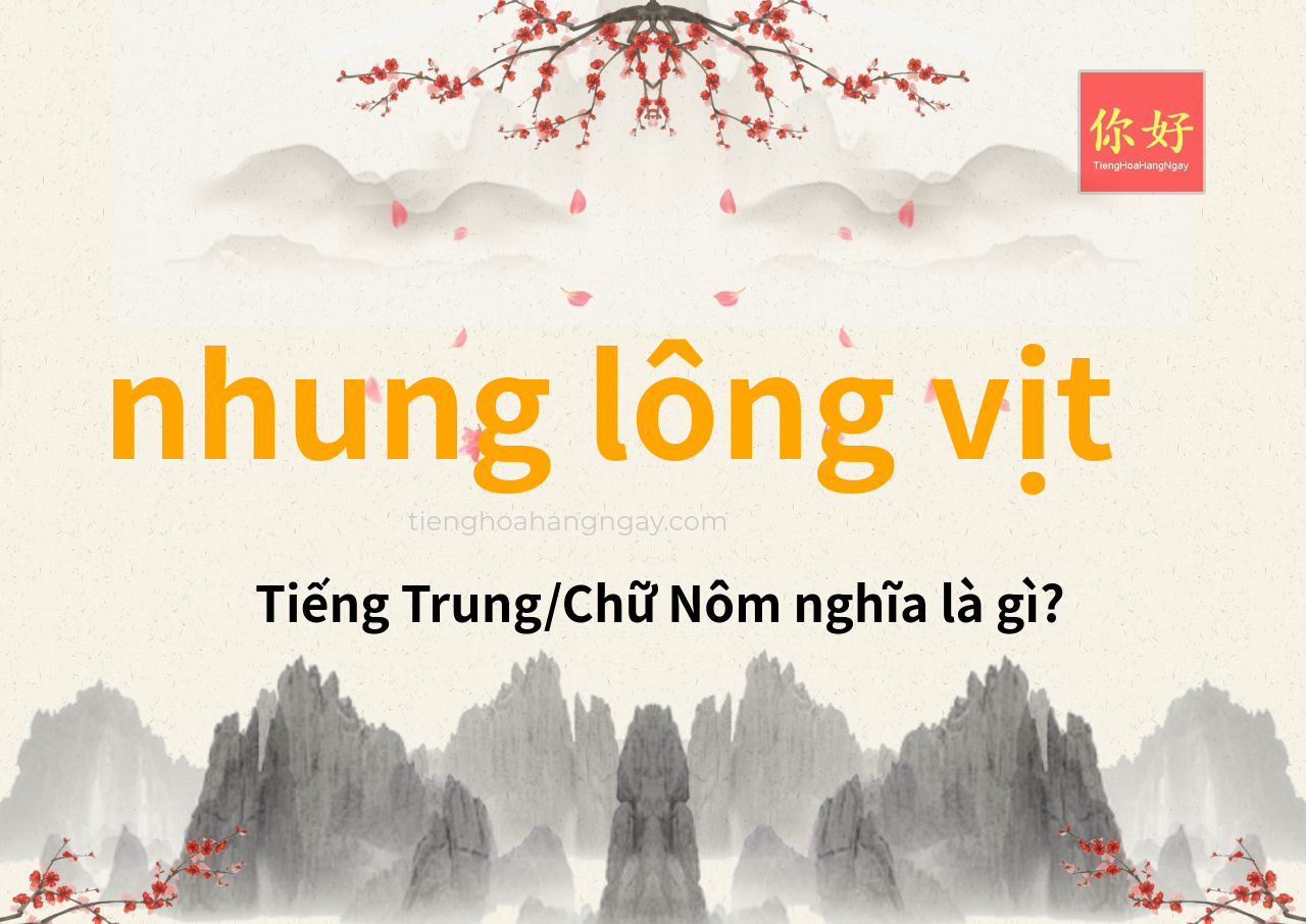 nhung lông vịt tiếng Trung là gì?